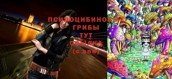 кокс Абаза