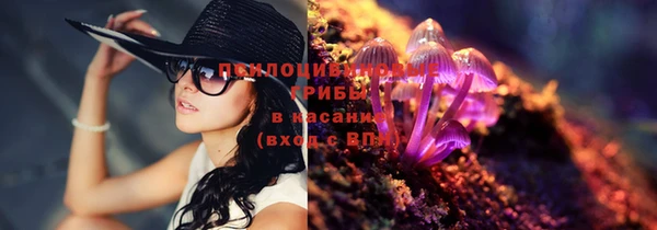 спайс Абинск