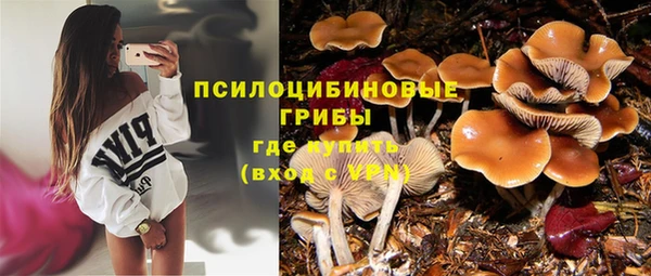 спайс Абинск